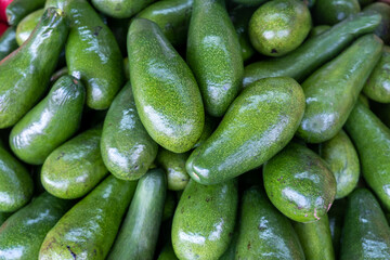 Organic ripe green avocado for sale at city market