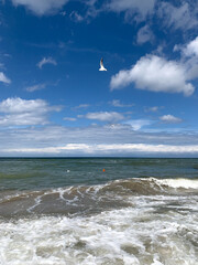 cloudy seascape, natural colors, empty beach