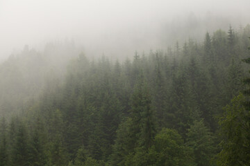 Beautiful clouds high in the mountains.