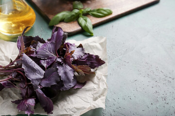 Fresh basil on color background