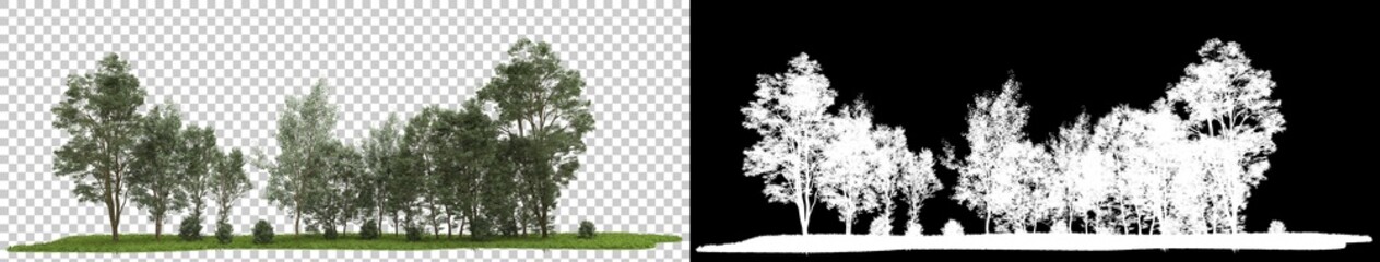 Forrest arrangement isolated on background with mask. 3d rendering - illustration © Elscar Studios