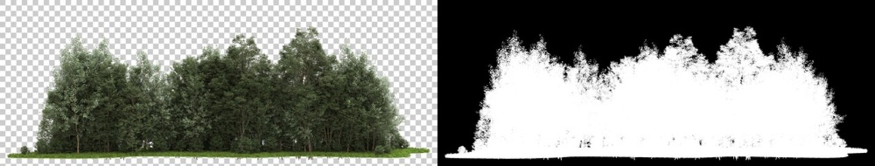Forrest arrangement isolated on background with mask. 3d rendering - illustration