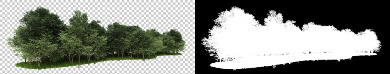 Forrest arrangement isolated on background with mask. 3d rendering - illustration