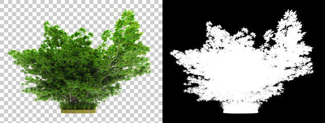 Tree isolated on background with mask. 3d rendering - illustration