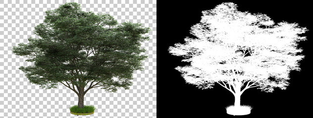 Tree isolated on background with mask. 3d rendering - illustration