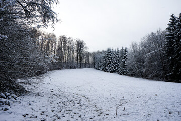 Schneebedeckte Natur