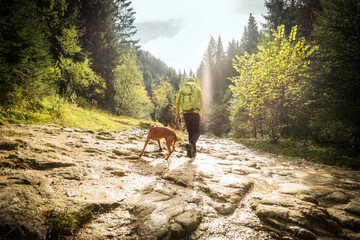 Traveler Man trekker with him dog walk around mountains in sunny day. Backpacker walking in...