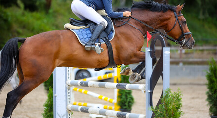 Horse Jumper with rider in flight over an obstacle from left to right, closely cropped in landscape...