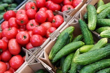 Food market vegetables. Various fresh ripe cucumbers, tomatoes agriculture products on marketplace sale.