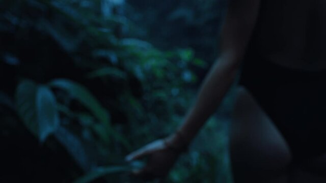 close up woman hand touching plants in rainforest at night feeling wet leaves exploring lush tropical jungle in the dark enjoying calm evening in nature