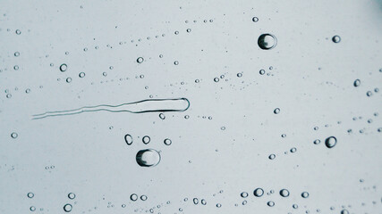 raindrops on the window in foggy day