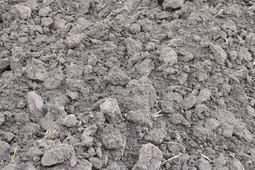 Natural background with fertile black soil