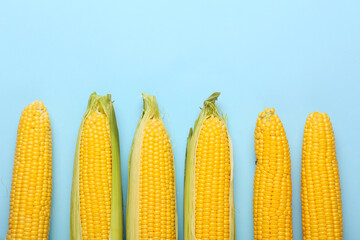 Fresh corn cobs on color background, closeup