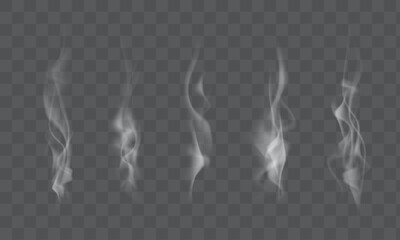 Set of high detailed smokes from coffee, tea, cigarettes, hot food isolated on transparent background. Vector illustration © bs_k1d