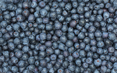 Food background of blueberry - top view