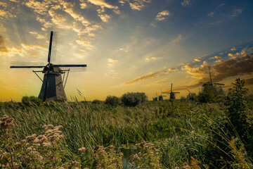 Obraz premium Windmolens Kinderdijk, Zuid-Holland