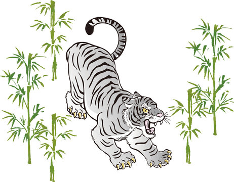 動物 虎 とら トラ ホワイトタイガー 2022 年賀 正月 年賀状素材 寅年