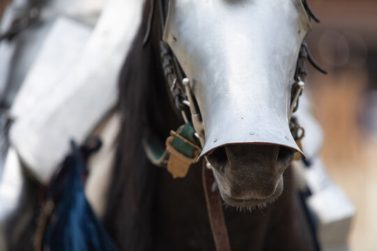 Portrait Of A War Horse In Iron Medieval Armor On The Muzzle. Front View. Close-up