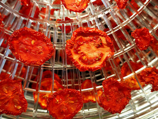 close red dried tomatoes are lying in a dehydrator . top view. cooking spices at home