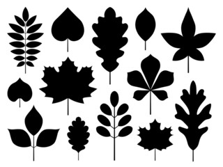 Autumn Leaves Shapes Silhouettes Outline Icons Set
