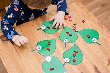 put correct amount of ladybird on assigned tree leaf. baby playing counting game. preschool...