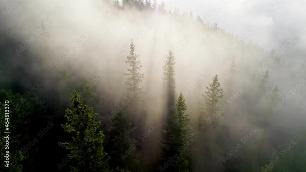 Poster aerial shot of mountain forest in the clouds. sunny morning in the foggy mountains. sun rays make th