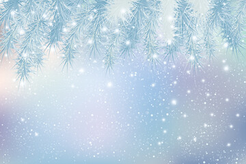 Fototapeta na wymiar モミと雪のクリスマス背景