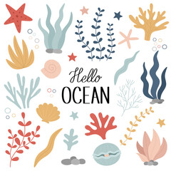 Fototapeta na wymiar Underwater world. A set of seaweed, corals, shells, a pearl, a starfish. Vector marine illustration