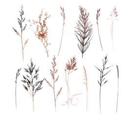 Fototapeta premium Vector plants and herb set illustration. Watercolor illustration.