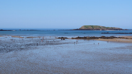 Pêche à pied à Lancieux
