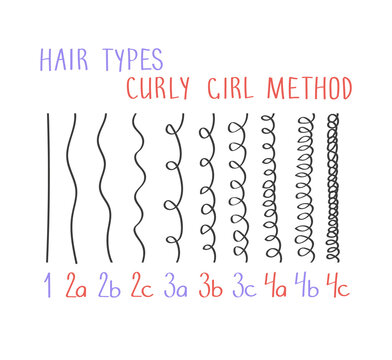 Vector illustration of hair types with all curl types labeled from 1 to 4c. Curly girl method (CGM) concept