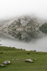montaña fría