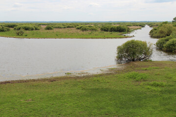grand-lieu lake in bouaye (france)