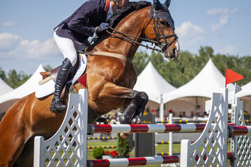 Title : Horse Jumping, Equestrian Sports, Show Jumping themed photo.