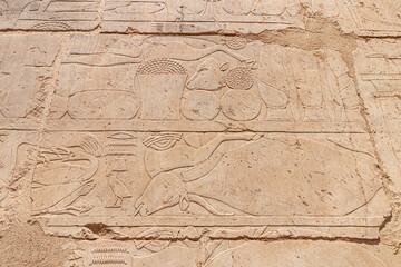 Fototapeta na wymiar Hieroglyphs on a wall in the Valley of Kings in Luxor, Egypt