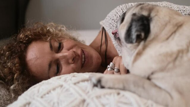 Love between female people and puppy dog laying on bed togeher having relax and tenderness moments - woman smile and have care of her pug animal in the bedroom - pet therapy concept life