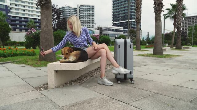 a young lady in sneakers and a shirt is sitting on a stone bench, a stray stray dog is sitting next to her. a girl with a gray suitcase. She takes a selfie and takes pictures of the dog as a souvenir.