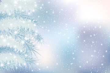 Fototapeta na wymiar モミと雪のクリスマス背景