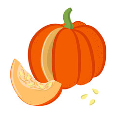 Autumn  whole and sliced  pumpkin. Vegetable composition.  Thanksgiving day symbol. Colored hand drawn vector illustration isolated on white background