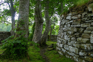 stone wall