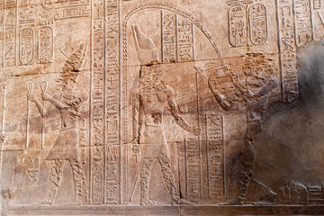 Hieroglyphs in a wall of Ruins of Temple of Horus at Edfu - Egypt
