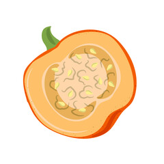 Autumn  Half of pumpkin. Vegetable composition.  Thanksgiving day symbol. Colored hand drawn vector illustration isolated on white background