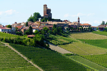 Fototapeta na wymiar Vineyards of Langhe, Piedmont, Italy near Alba at May. Serralunga