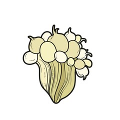 Sea anemones  color variation for coloring page isolated on white background