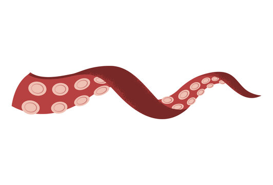 Octopus tentacle, underwater animal. Sea squid vector cartoon icon. Spooky marine monster arm on white background