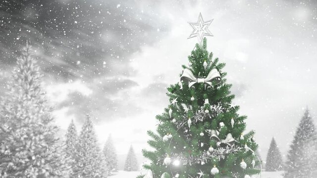 Snow falling over christmas tree and multiple snow covered trees on winter landscape