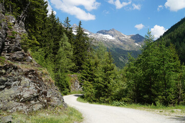 a hiking trail leading through the scenic alpine landscape in Schladming-Dachstein region in Austria	