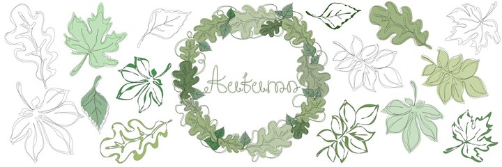 wreath isolated on white background, oak wreath with birch leaves, leaves in a continuous line, set autumn leaves for inspiration