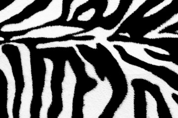 Zebra animal skin abstract fur pattern texture for design and print background