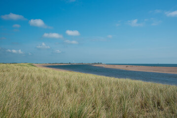 Fototapeta na wymiar Texel, the Netherlands. August 13, 2021. Landschap van Texel met zicht op de Waddenzee.